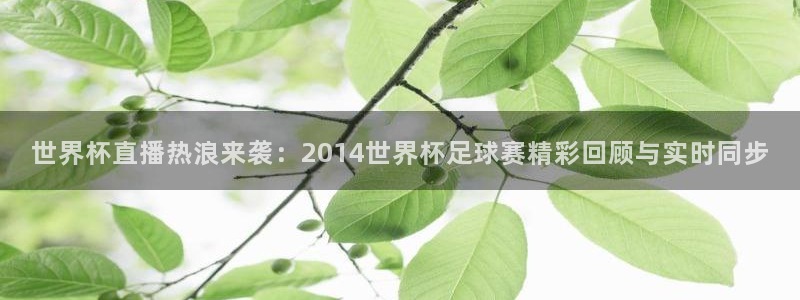 世界杯直播在线观看入口：世界杯直播热浪来袭：2014世界杯足球赛精彩回顾与实时同步