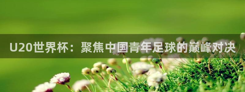 世界杯 中国：U20世界杯：聚焦中国青年足球的巅峰对决