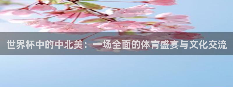 世预赛免费直播入口：世界杯中的中北美：一场全面的体育盛宴与文化交流