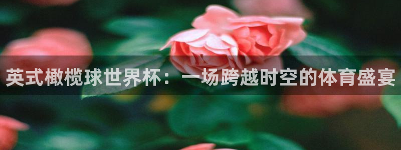 2026世界杯预选赛：英式橄榄球世界杯：一场跨越时空的体育盛宴