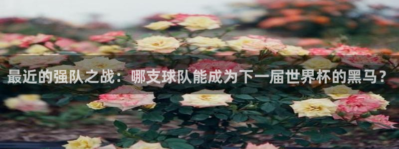 世预赛直播：最近的强队之战：哪支球队能成为下一届世界杯的黑马？