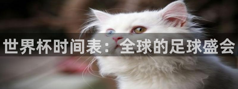 国际足联世界杯：世界杯时间表：全球的足球盛会