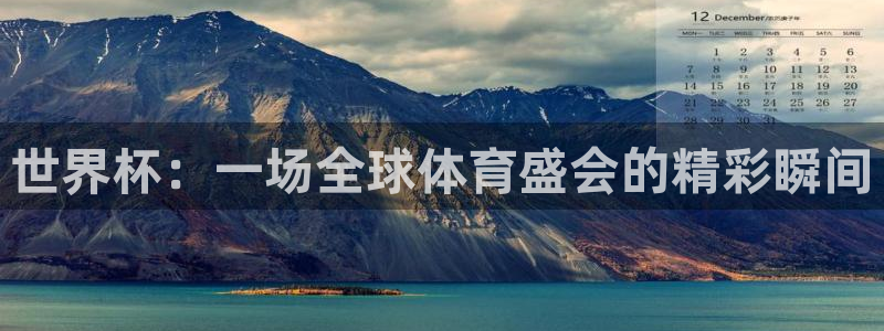 2006年世界杯冠军：世界杯：一场全球体育盛会的精彩瞬间