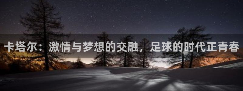 2026世界杯赛程时间表最新：卡塔尔：激情与梦想的交融，足球的时代正青春