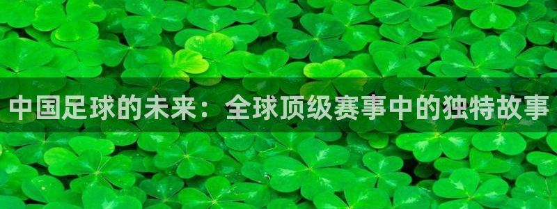 世界杯亚洲区预选赛积分榜：中国足球的未来：全球顶级赛事中的独特故事